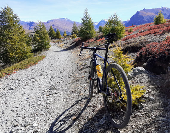 velo gravel à coté de myrtilles dans le queyras